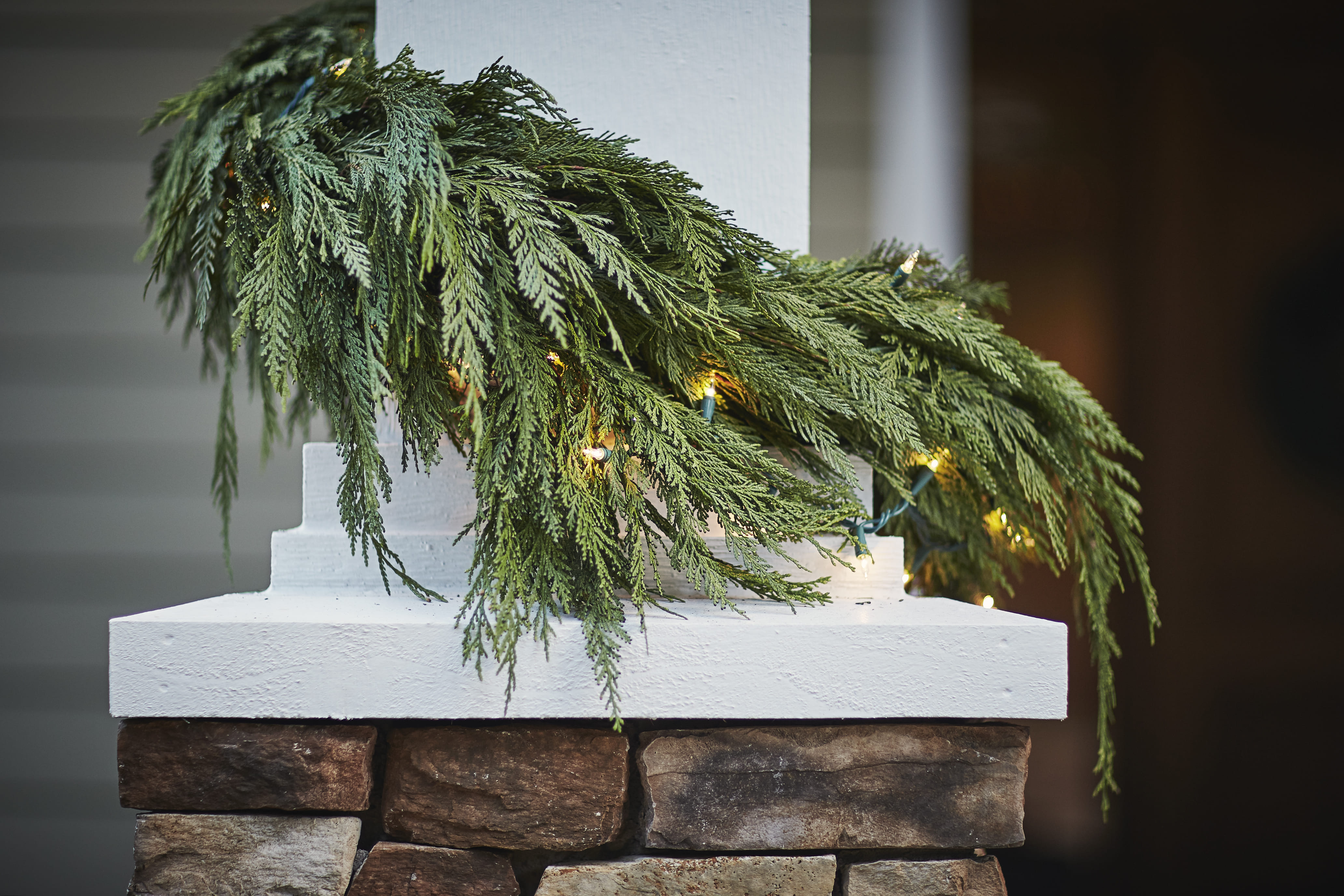 The Cedar Garland plant from Continental Floral Greens